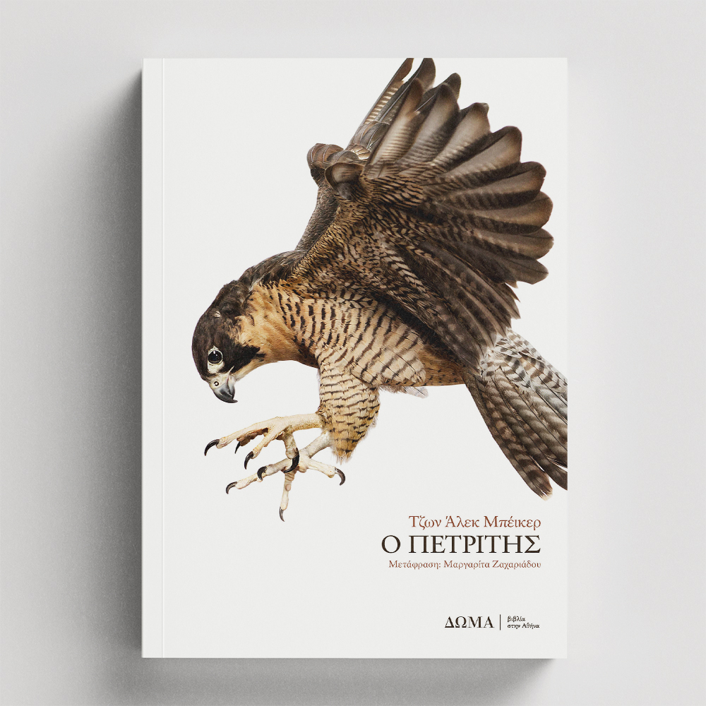 The Peregrine